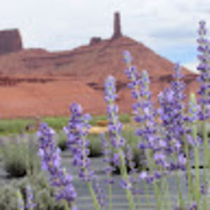 Meet your Posher, Wendy